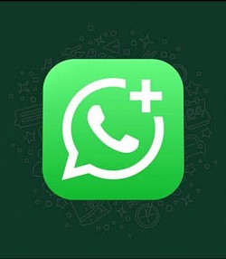 WhatsApp Business icon